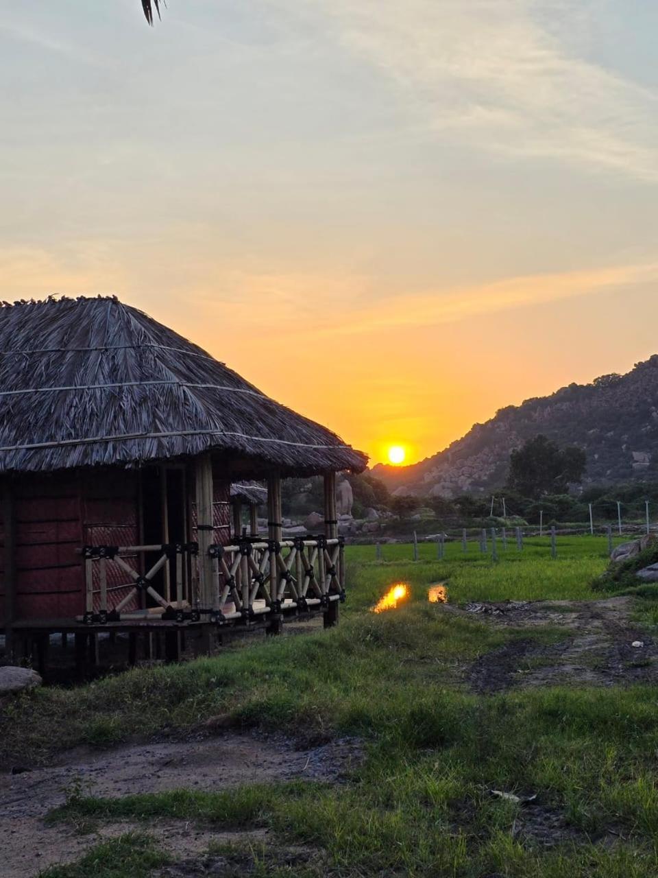 Golden Chariot Resort 함피 외부 사진